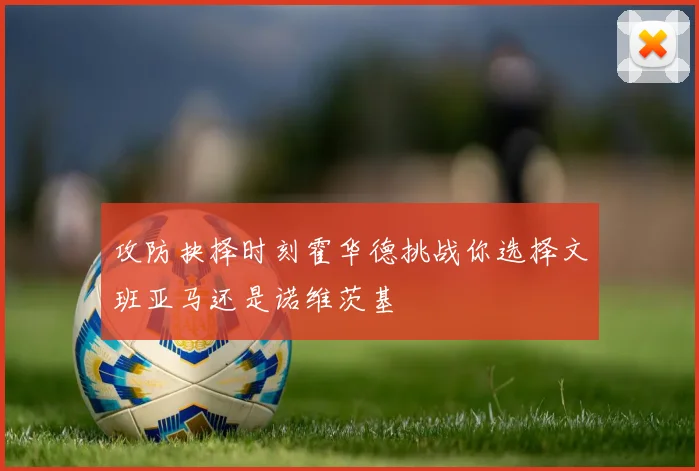 攻防抉择时刻霍华德挑战你选择文班亚马还是诺维茨基